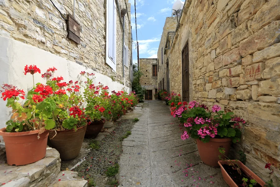 Lefkara Street with Flowers