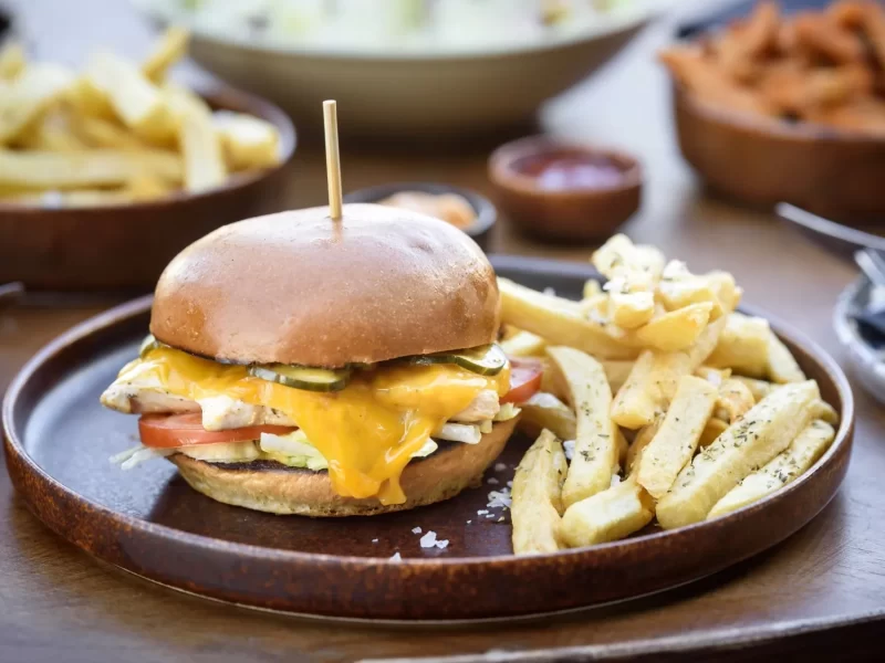 Chicken burger and fries